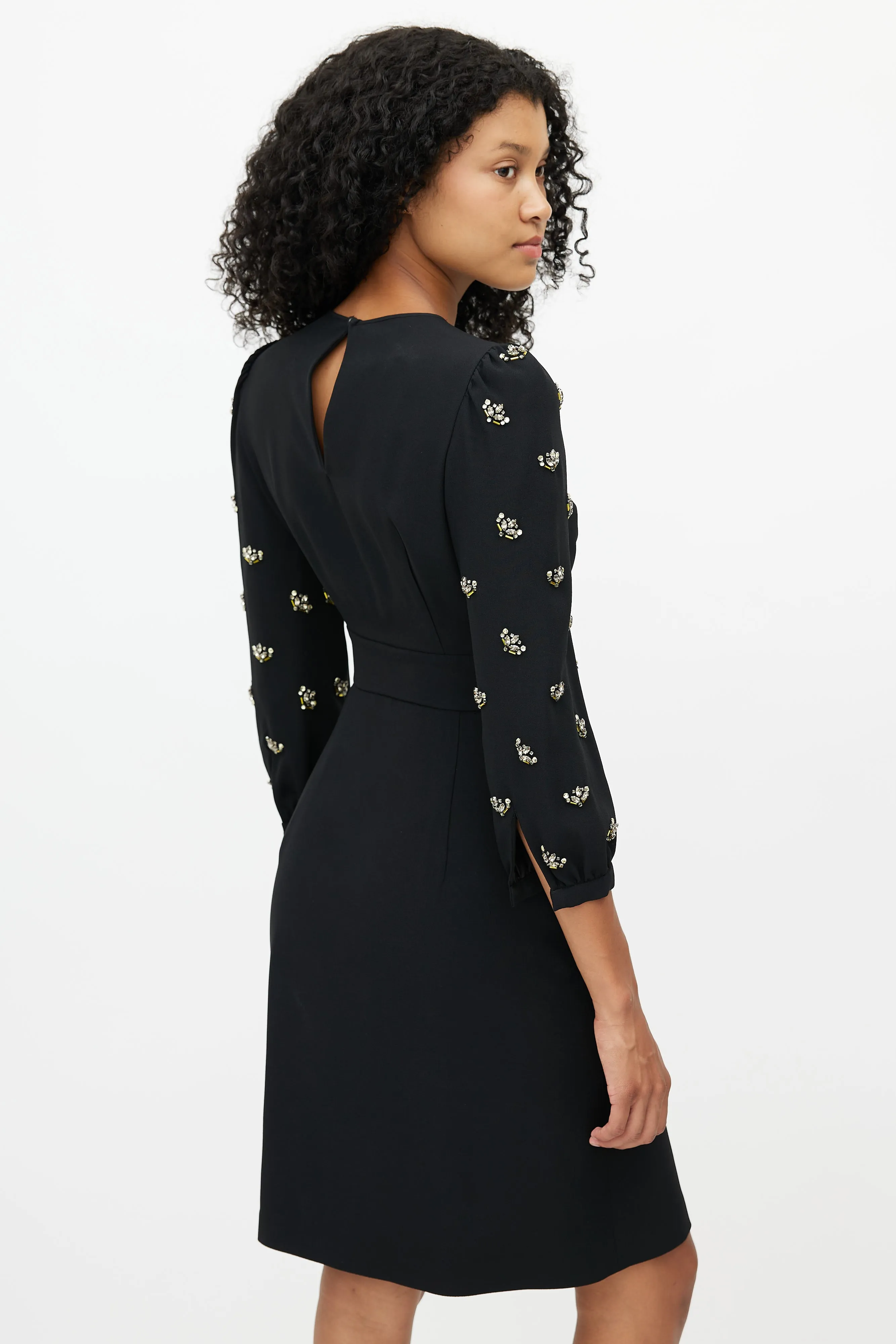 Beaded Sleeves Dress